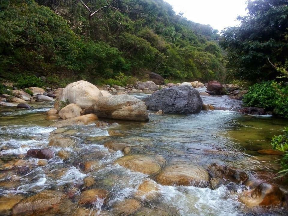 Casa Rio Cuale And River Retreat Пуерто-Вальярта Екстер'єр фото
