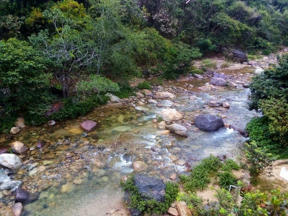 Casa Rio Cuale And River Retreat Пуерто-Вальярта Екстер'єр фото